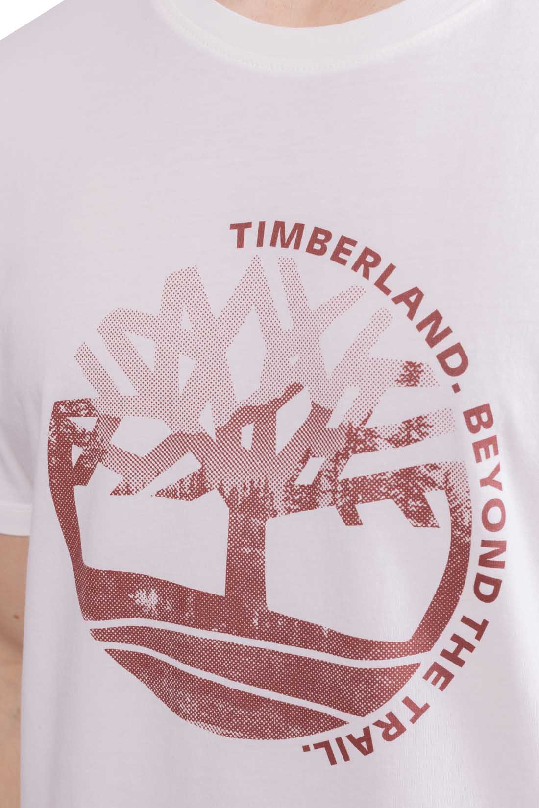 TIMBERLAND - Men's regular T-shirt with graphic print  - Size XXL