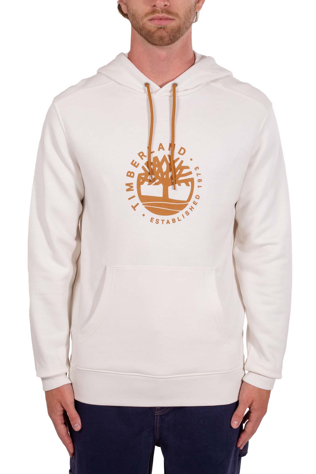 TIMBERLAND - Men's regular hoodie with printed logo