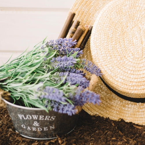 Gift Set - Spa Lavender & Rosemary - 1 Piece - MADE TO ORDER