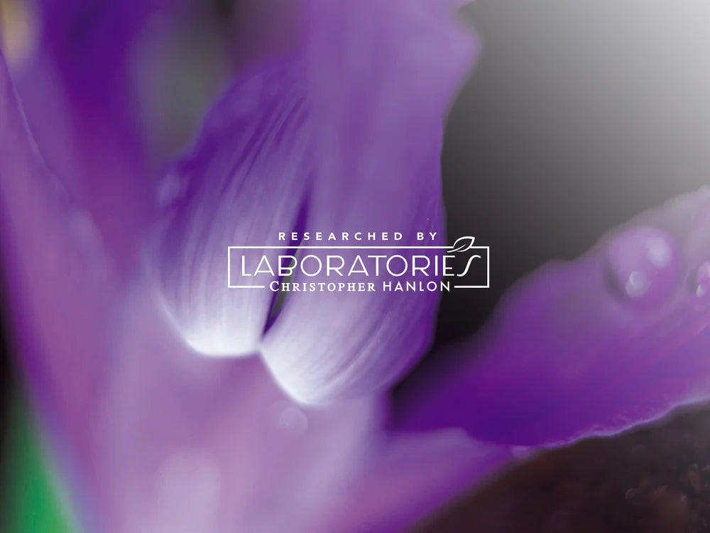 2x ROSEMARY + LEMON CEDARWOOD | HAND WASH + HAND BALM